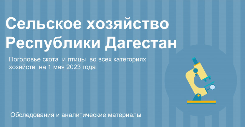 Поголовье скота  и птицы во всех категориях хозяйств 1 мая 2023 года